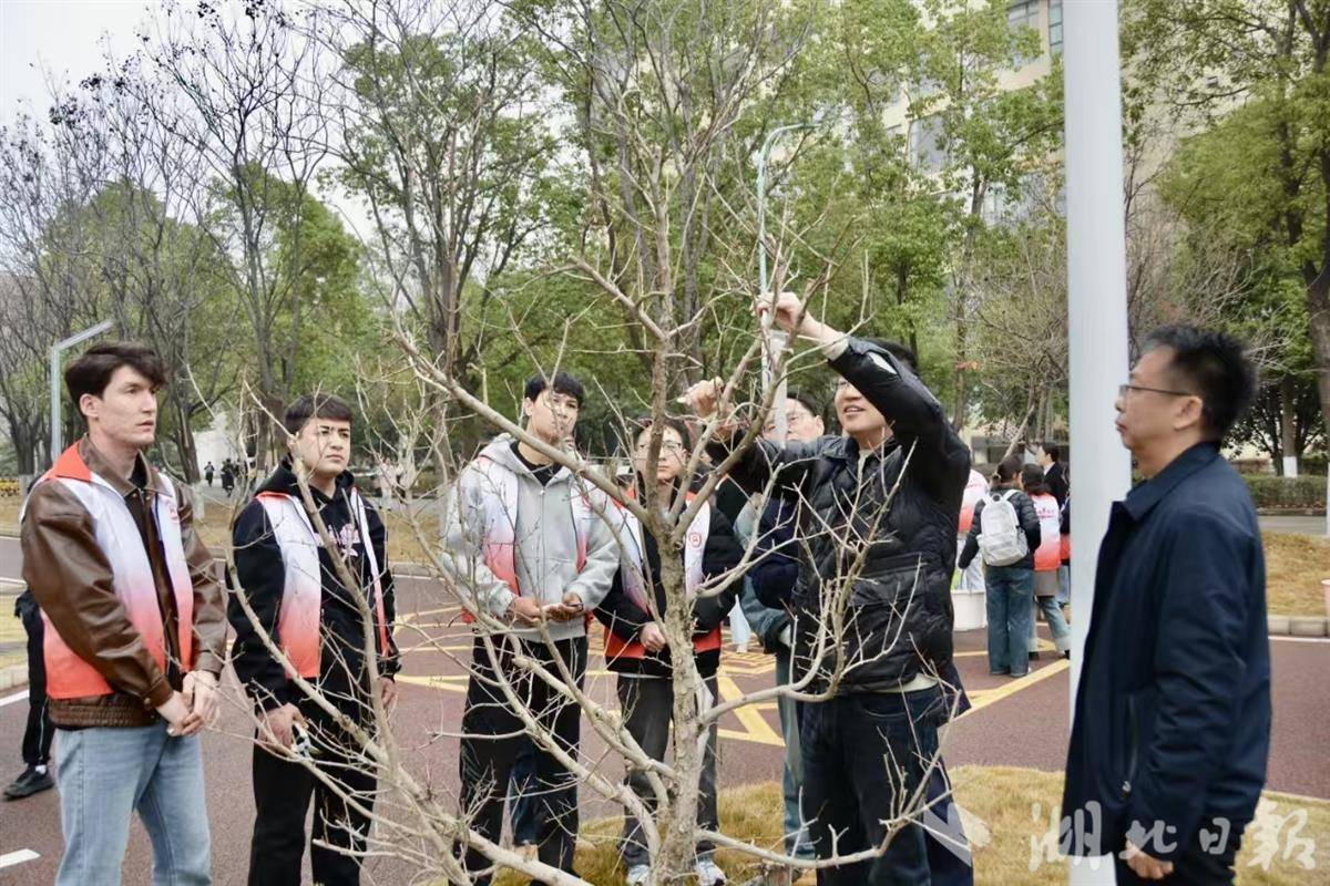 ylzzcom永利总站线路检测