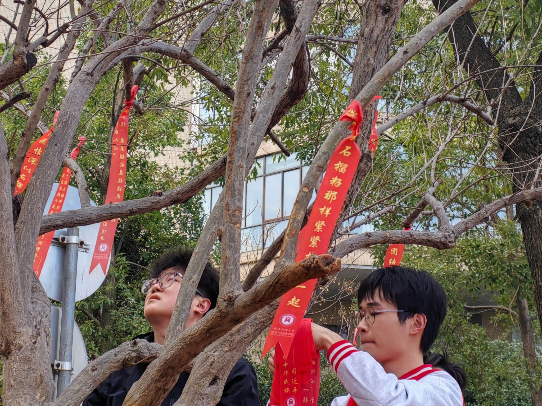 ylzzcom永利总站线路检测