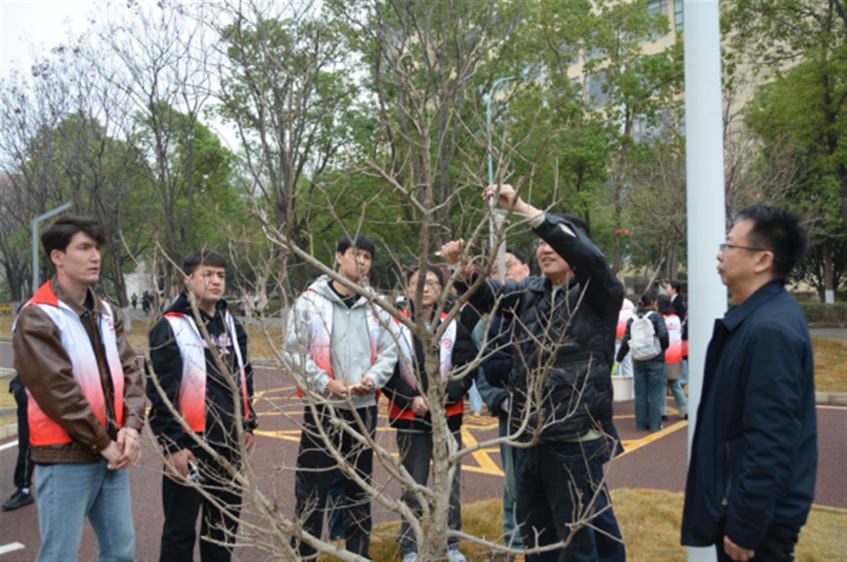 ylzzcom永利总站线路检测